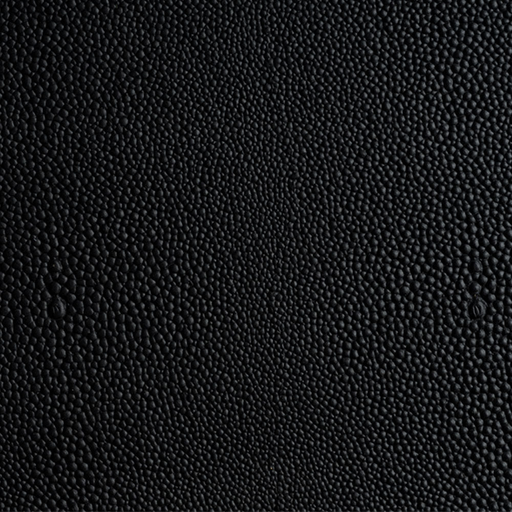 Black Shagreen Leather Insert Sample