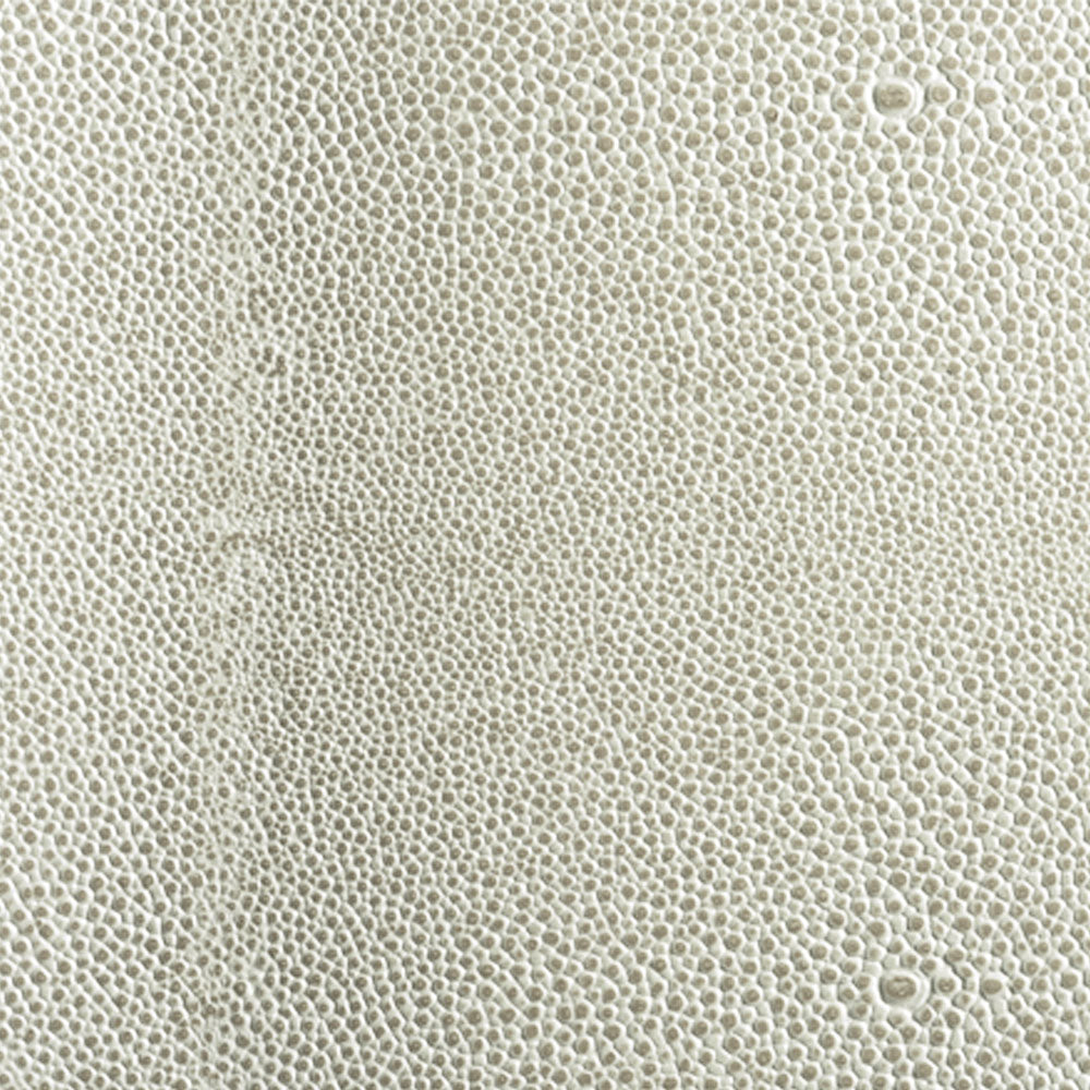 Grey Stone Shagreen Leather Insert Sample