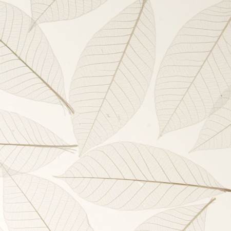 Fossil Leaf 3Form® Insert Sample